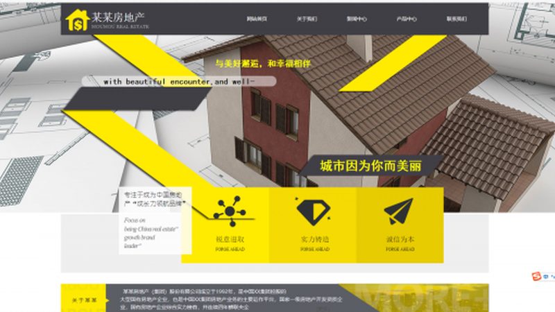 适合行业：高端制造、金融服务、教育医疗等