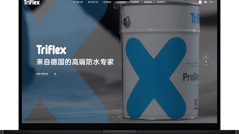 集团企业网站建设：案例分析揭示行业趋势
